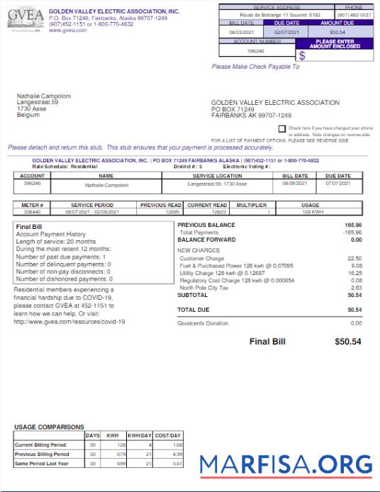 Blank USA GVEA utility bill Word and PDF template